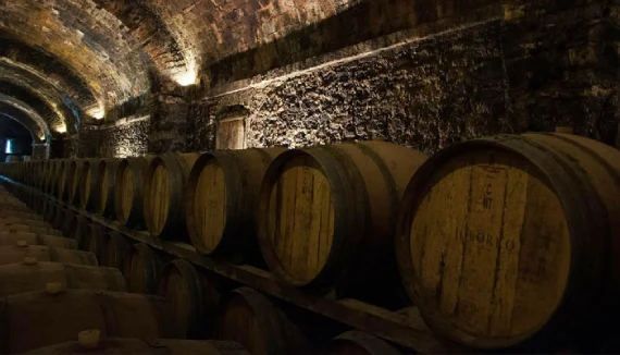 Visitas a vinícolas Uruguai